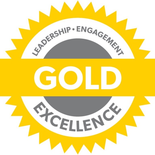 Chapter Standards Gold Medal - Leadership, Engagement, Excellence