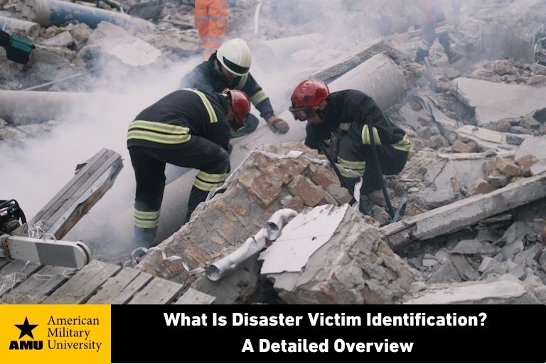 emergency personnel conducting disaster victim identification