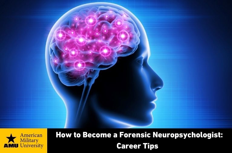 illustration of neurological brainwaves highlighted in brain