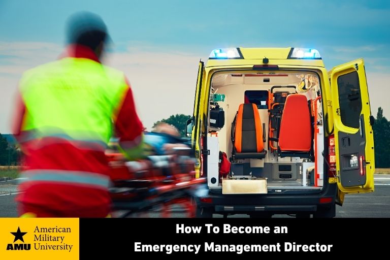 emergency management director