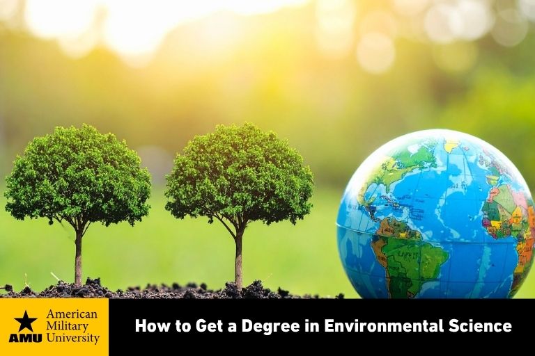 environmental science scene with globe near trees