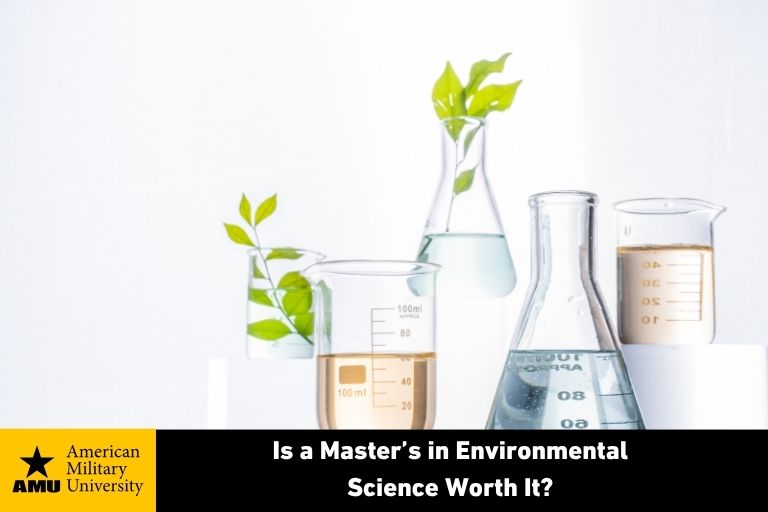 environmental science depicted by beakers growing plants