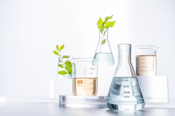 environmental science depicted by beakers growing plants