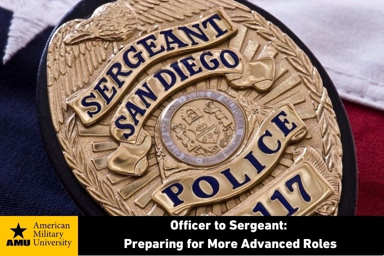 police sergeant badge