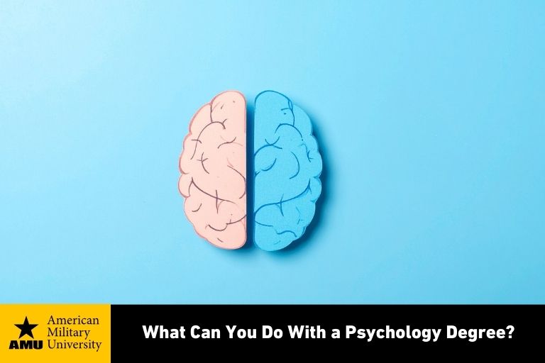 illustration of human brain