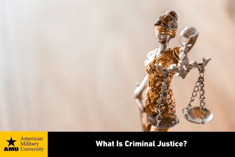 criminal justice symbolic statue of blindfolded woman holding scale and sword