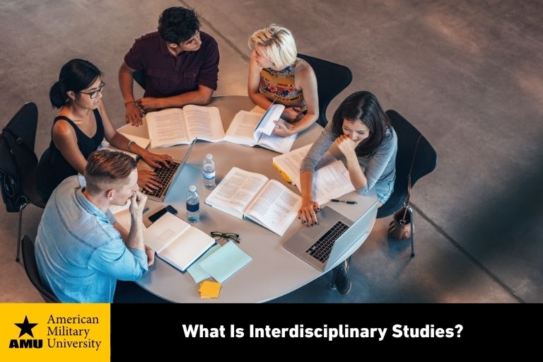 what-is-interdisciplinary-studies students studying at table