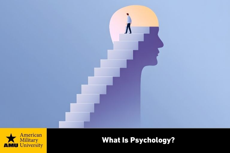 illustration of person walking up stairs toward human brain