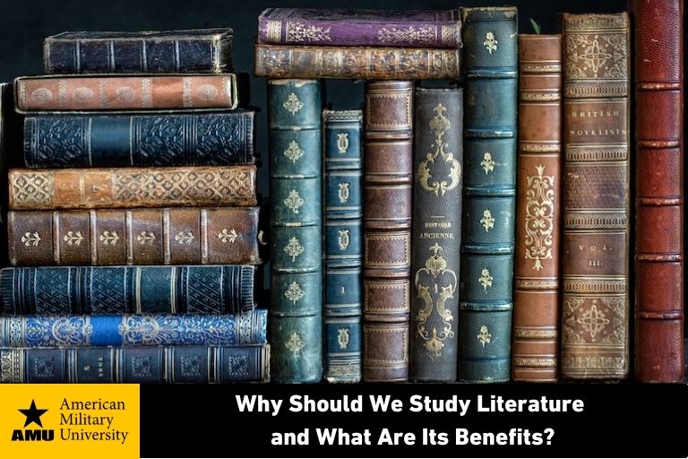 literature books on shelf