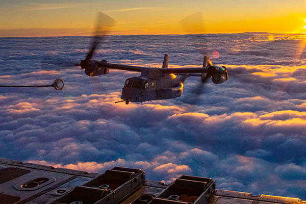 homeland security history