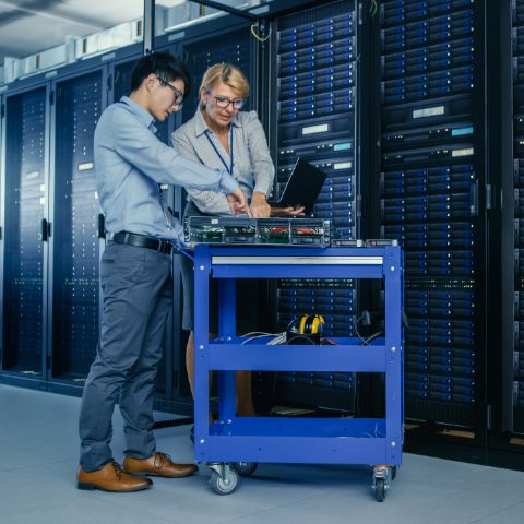 Information Technology Management, Bachelor of Science