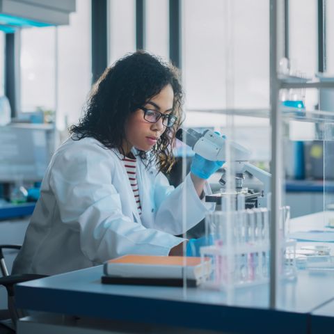 Natural Sciences, Bachelor of Science